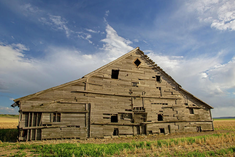Old Barn in Montana Photograph by Jack Bell