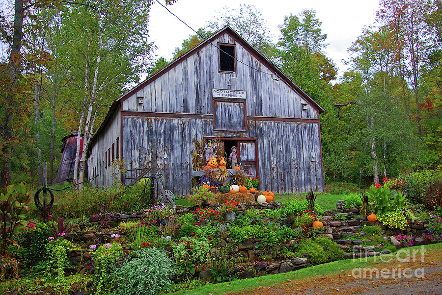 Old Barn in North Creek Photograph by Gregory Klingler - Fine Art America