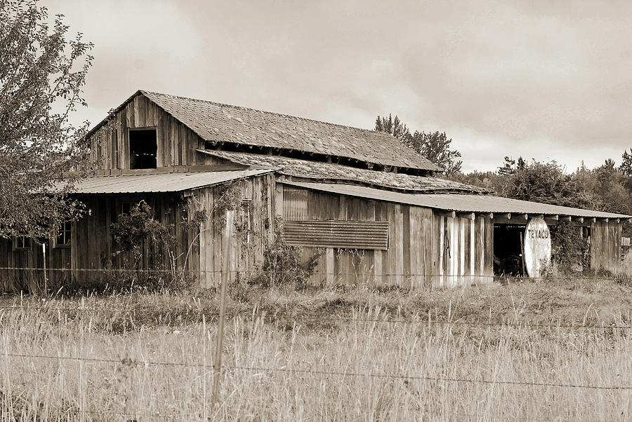 Old Barn in Sepia  Photograph by Connie Fox
