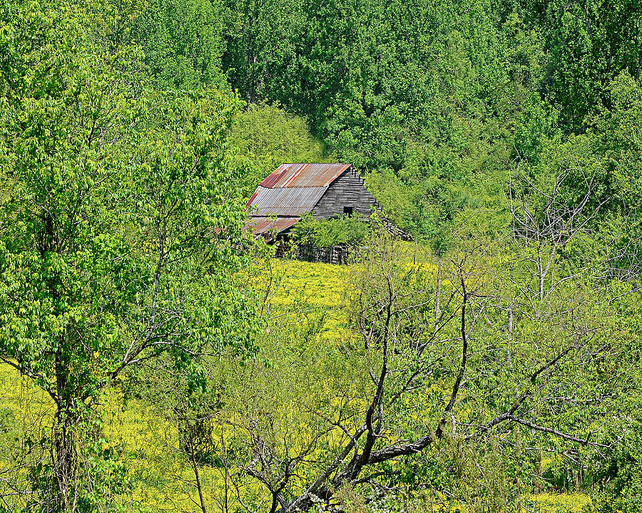 Old Barn In Spring Photograph