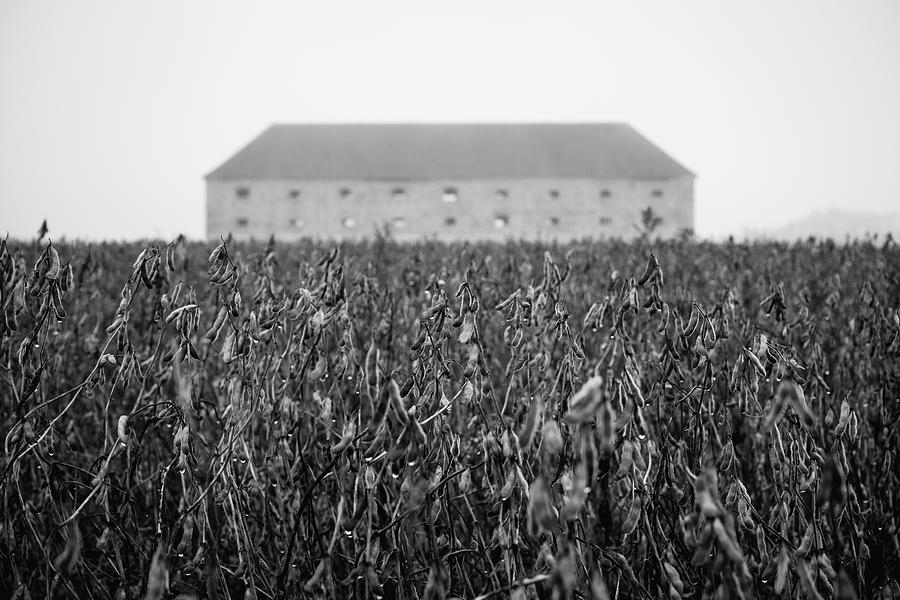 Old Barn In The Field Photograph By Martin Vorel Minimalist Photography ...