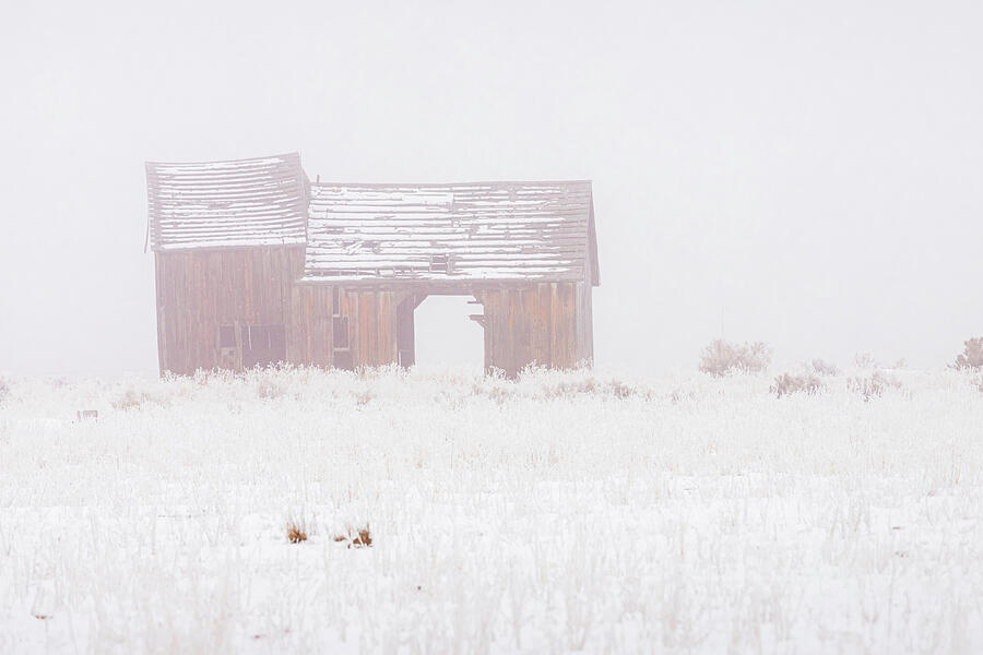 Old Barn in the Fog Photograph by Mike Lee