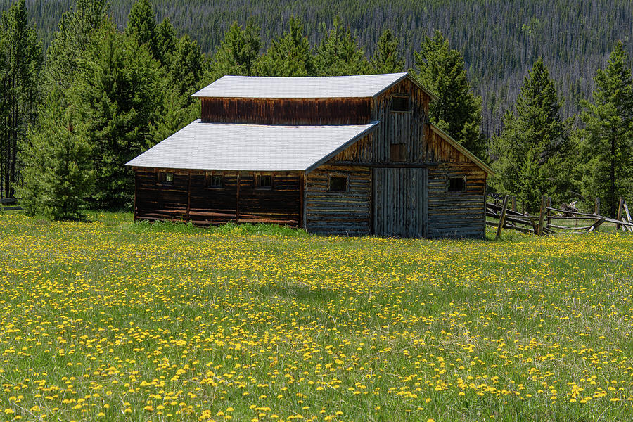 Old Barn in the Rocky Mountains Photograph by Cascade Colors
