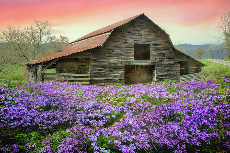 Old Barn In The Wildflowers Photograph By Debra And Dave Vanderlaan   Old Barn In The Wildflowers Debra And Dave Vanderlaan 