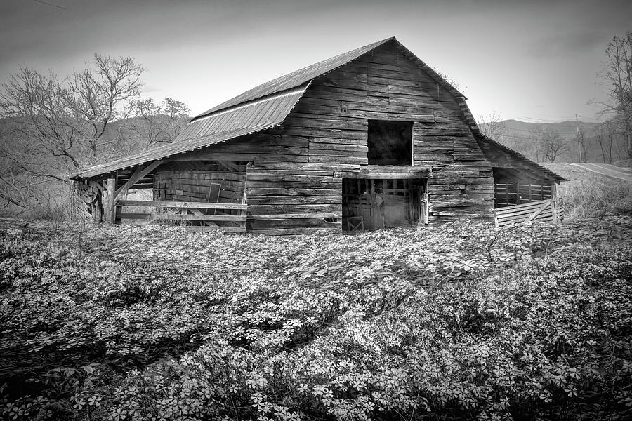 Old Barn in the Wildflowers in Black and White Photograph by Debra and Dave Vanderlaan