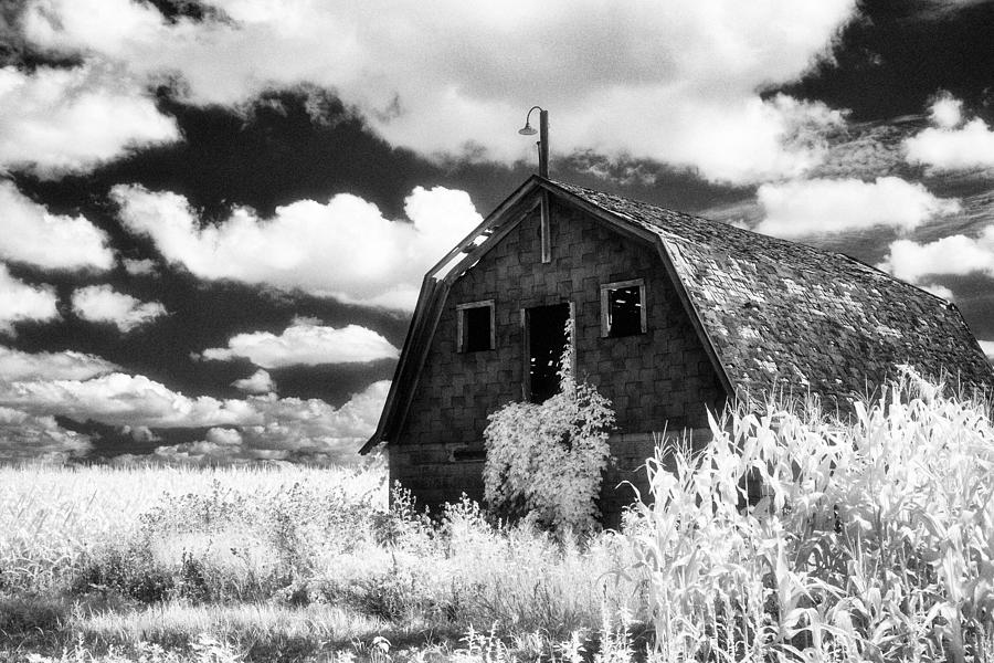 Old Barn in Vassar, Michigan Photograph by Jeffrey Holbrook
