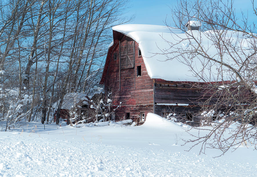 Old Barn in Winter Scene Photograph by Sandra Js