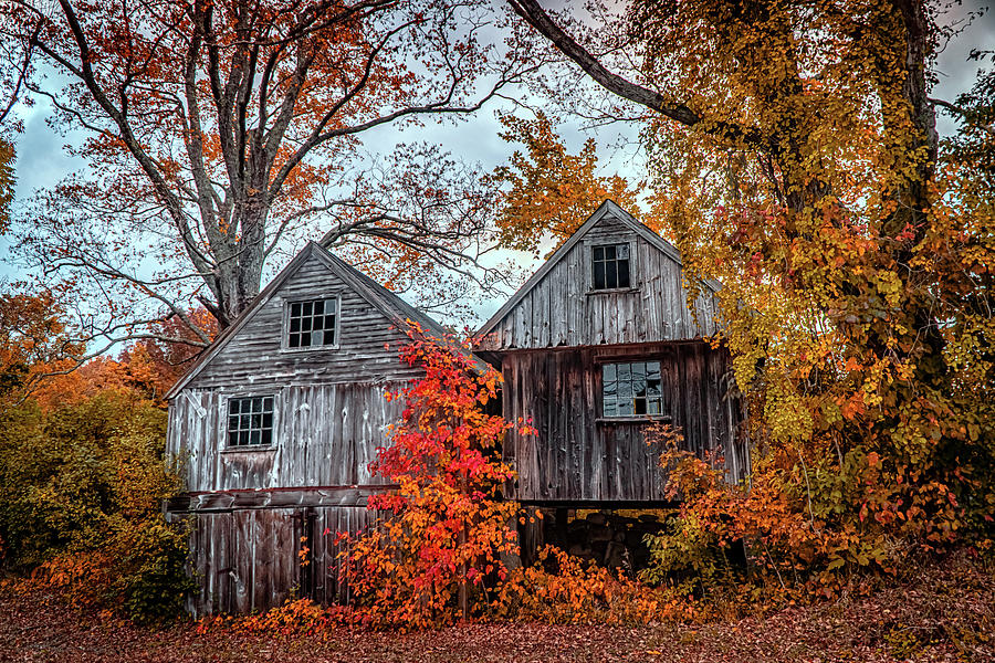 Old Barn Photograph by Lilia S