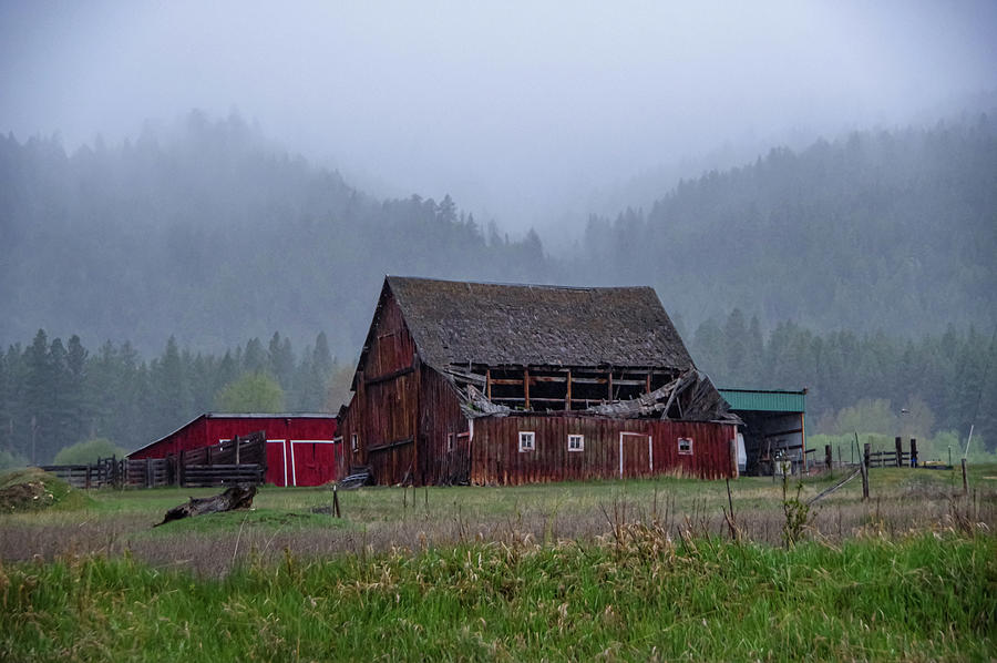 Old Barn On A Foggy Day Photograph