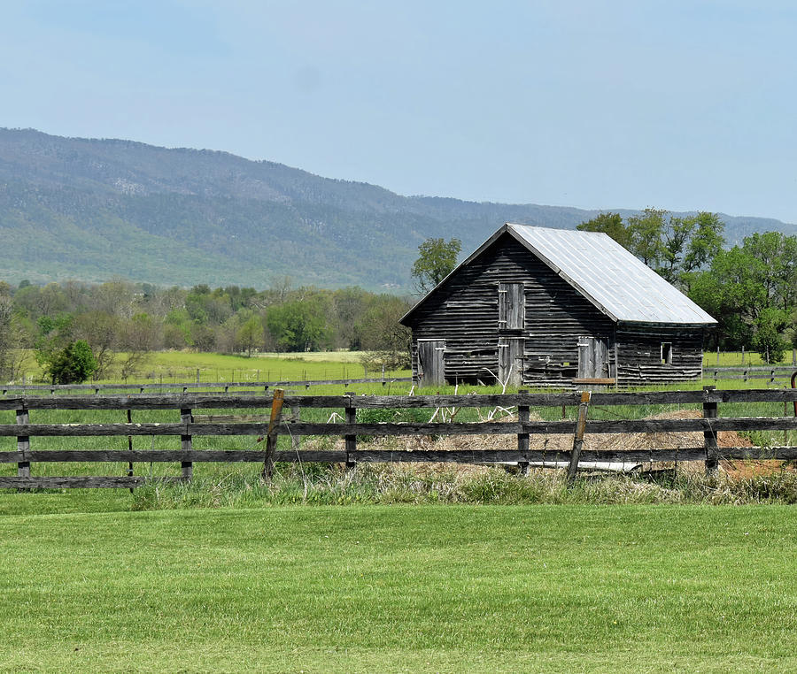 Old Barn or Old Cabin Photograph by Roberta Byram