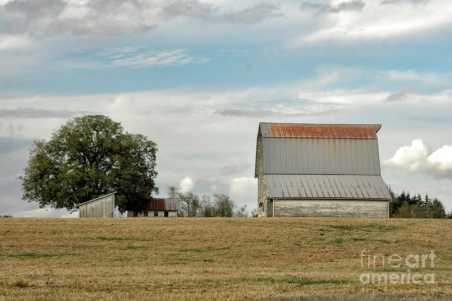 Tree Photograph - Old Barn by Jack Andreasen