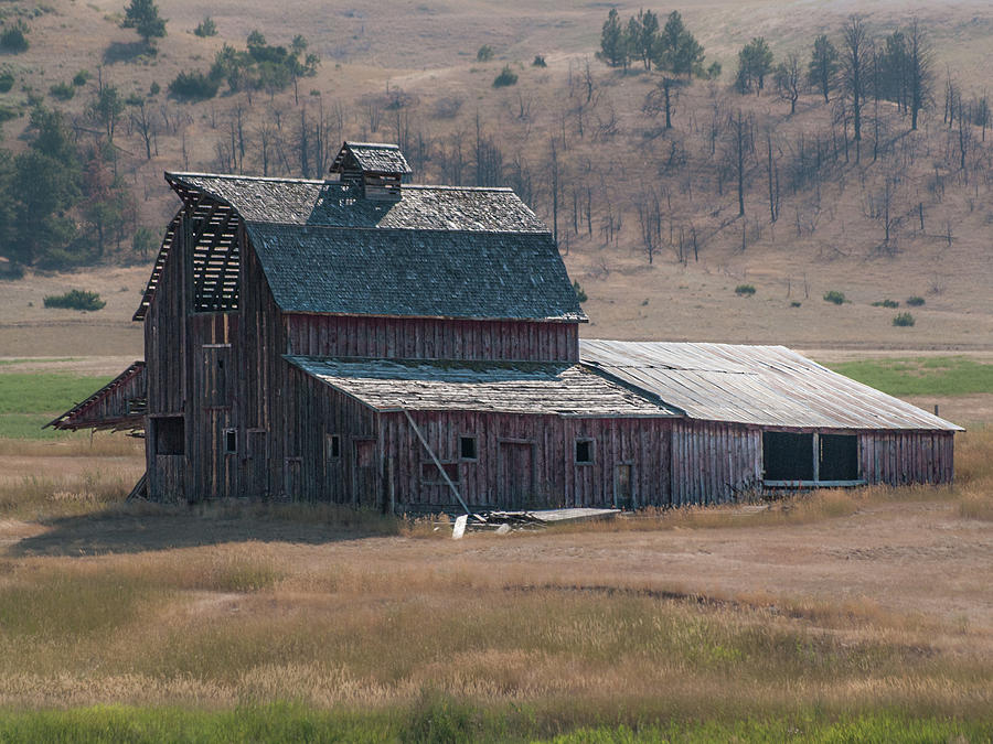 Old Barn  Photograph by Stewart Helberg