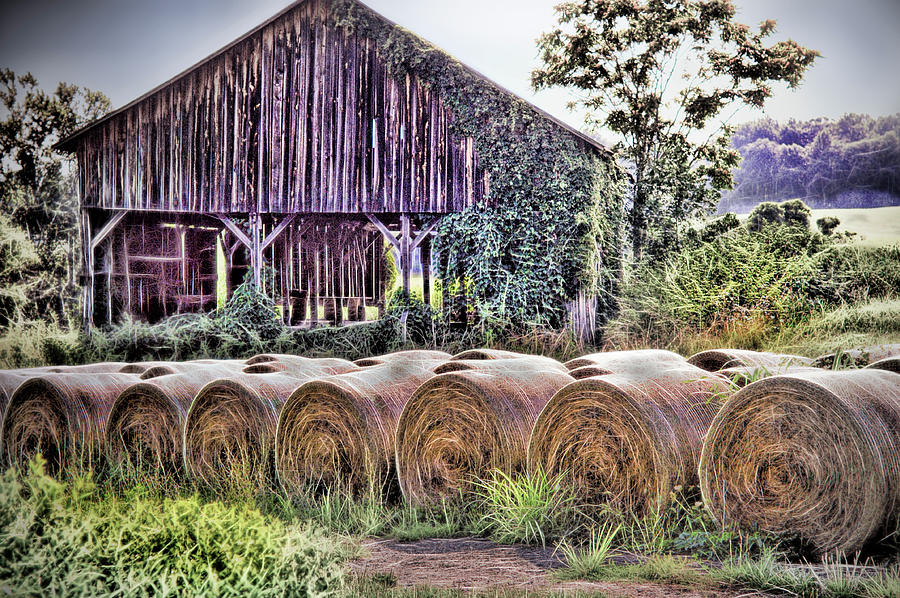 Old Barn with Bales of Hay Photograph by Cordia Murphy