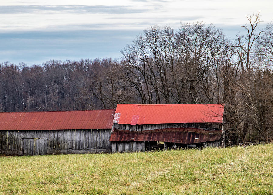 Old Barn With Winter Trees Photograph