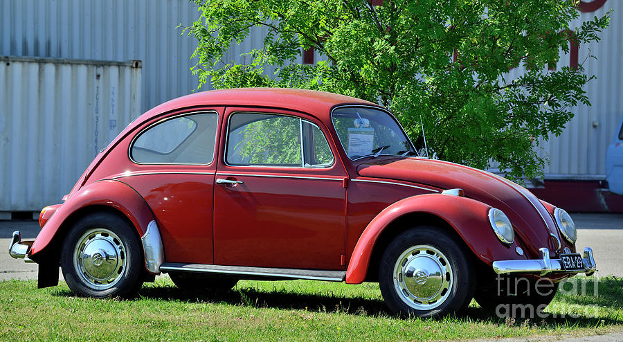 Old Beetle Photograph By Esko Lindell - Fine Art America