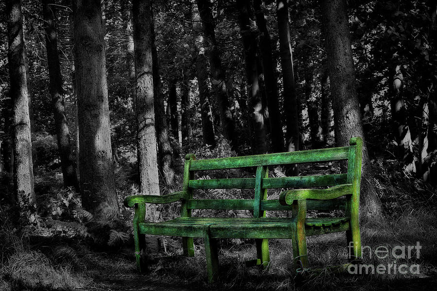 Old Bench in the Woods - Selective Colour Photograph by Yvonne Johnstone
