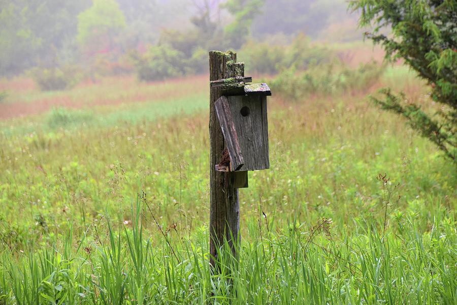 Old Birdhouse Photograph by Linda Scarborough - Fine Art America