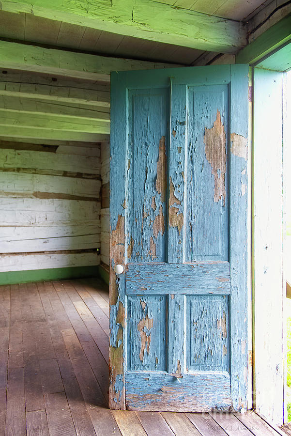 log cabin door