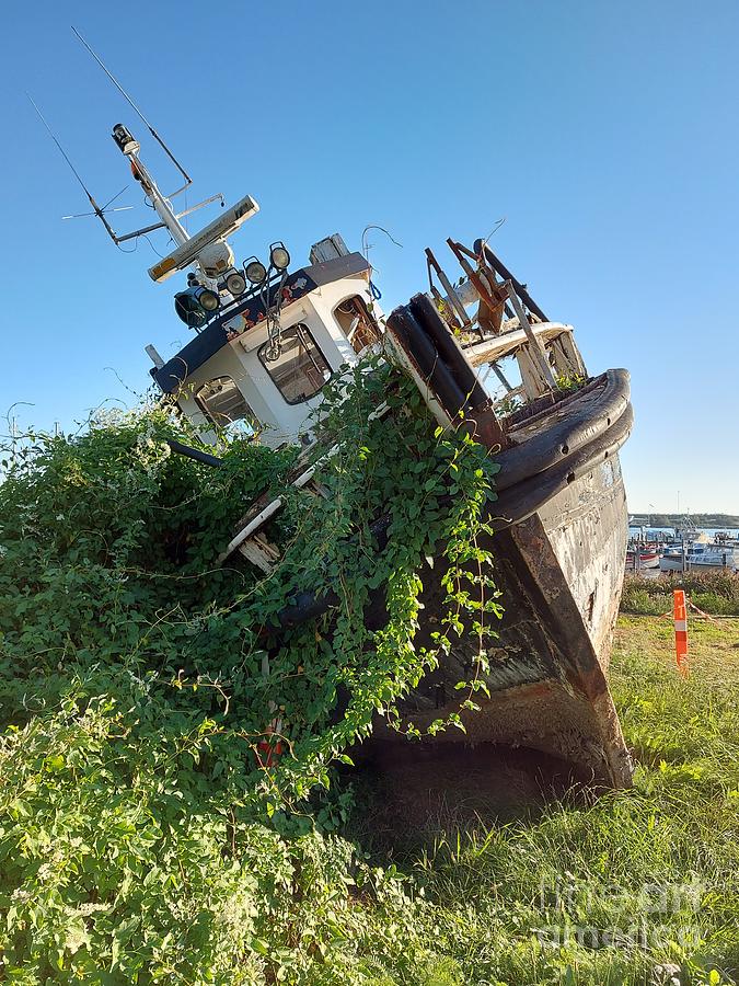 Overgrown boat in Nakskov Photograph by Chani Demuijlder