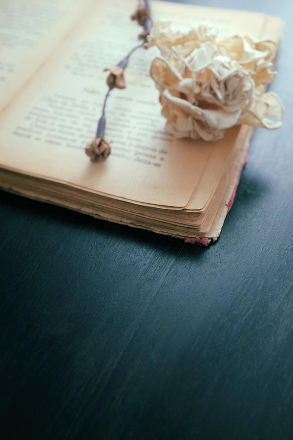 Old Book and Flower 3 Photograph by Carlos Caetano