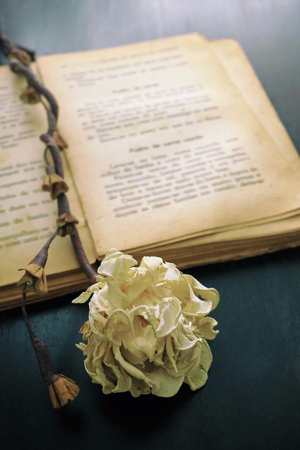 Old Book and Flower Photograph by Carlos Caetano