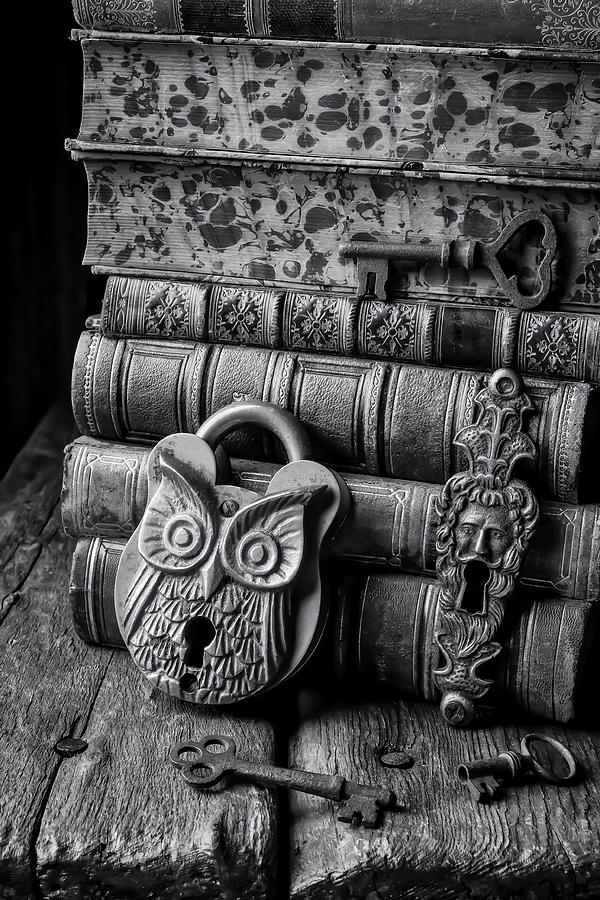 Old Books And Owl Lock Photograph by Garry Gay