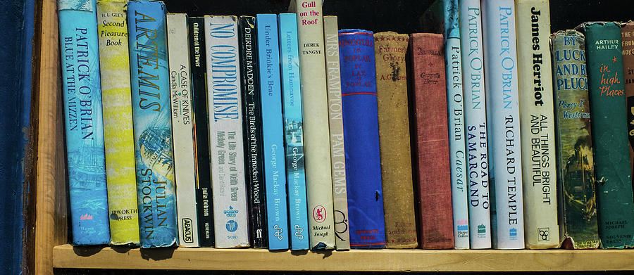 Old Books On A Shelf In Book Shop Photograph