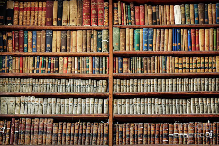 Book Photograph - Old books, Trinity College Library by Delphimages Photo Creations