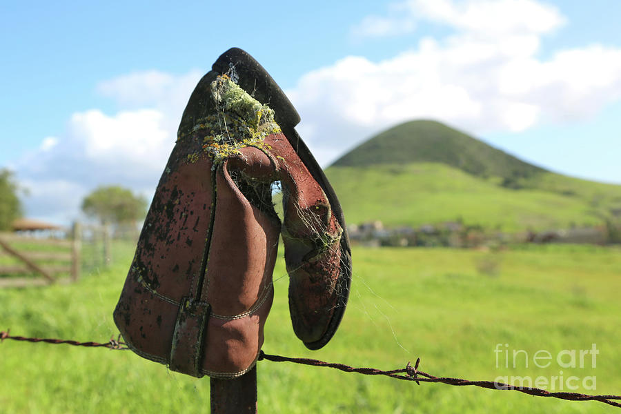 Old Boot on Fence Photograph by Vivian Krug Cotton