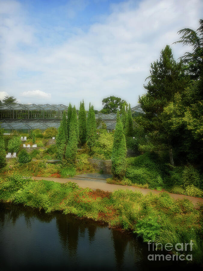 Old Botanical Gardens - Hamburg Photograph by Yvonne Johnstone