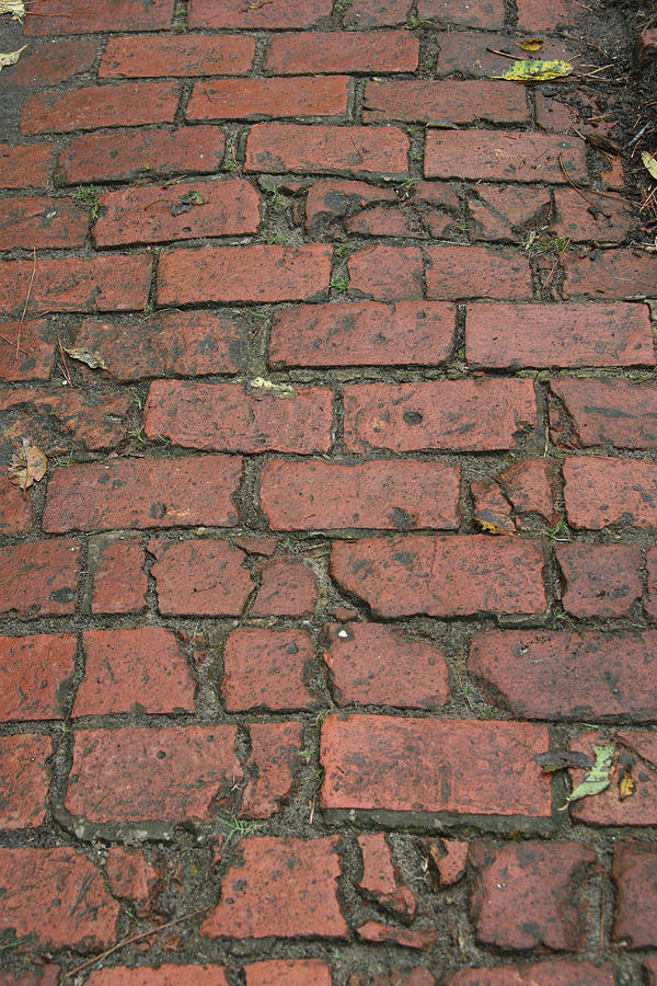 Old Brick Sidewalk Photograph by Imagegrafx