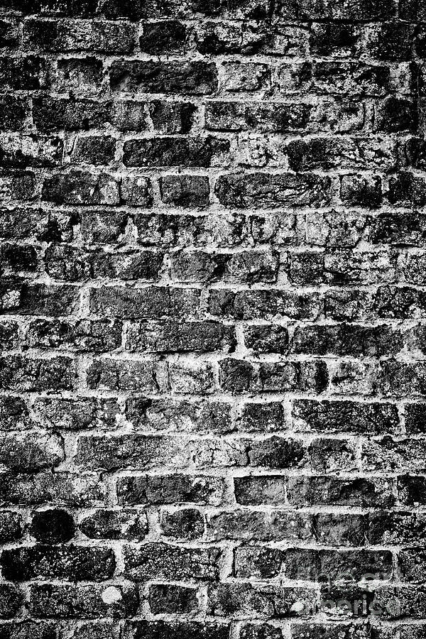 Old Brick Wall bw Vertical Photograph by Eddie Barron