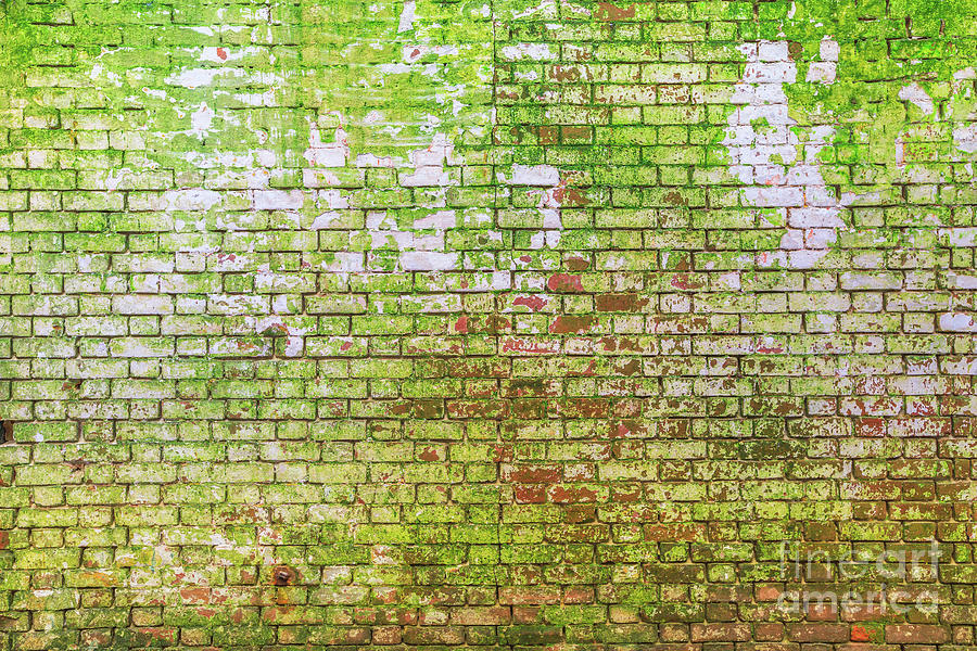Old bricks wall background Photograph by Benny Marty