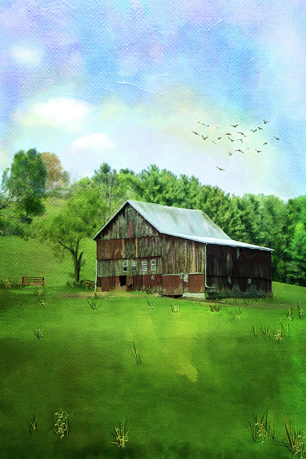 Old Brown Barn Digital Art by Mary Timman