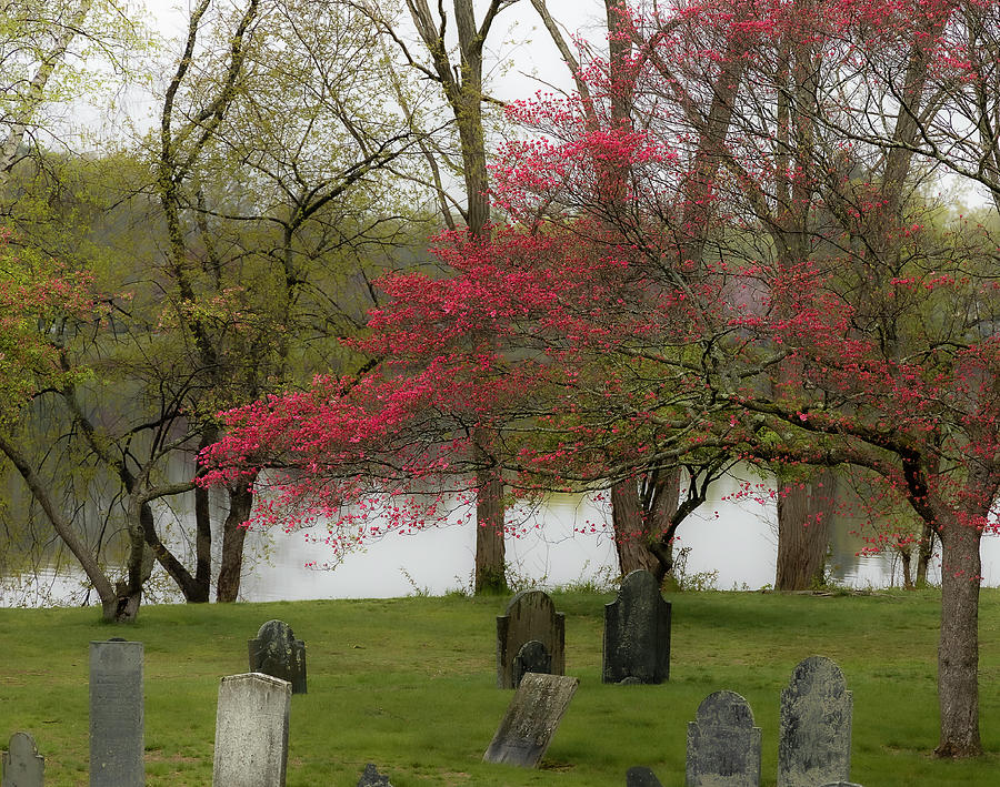 Old Burying Ground Photograph by Catherine Grassello