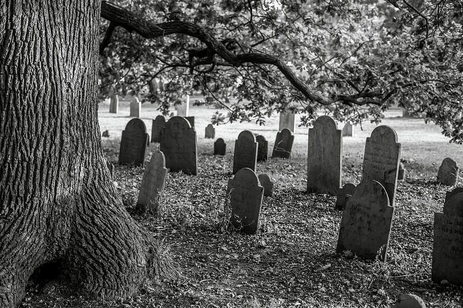 Old Burying Point Charter Street Cemetery Photograph by Jen Penrose