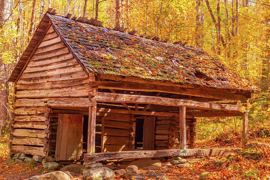 Old Cabin and Autumn Colors Photograph by Marc Crumpler - Fine Art America