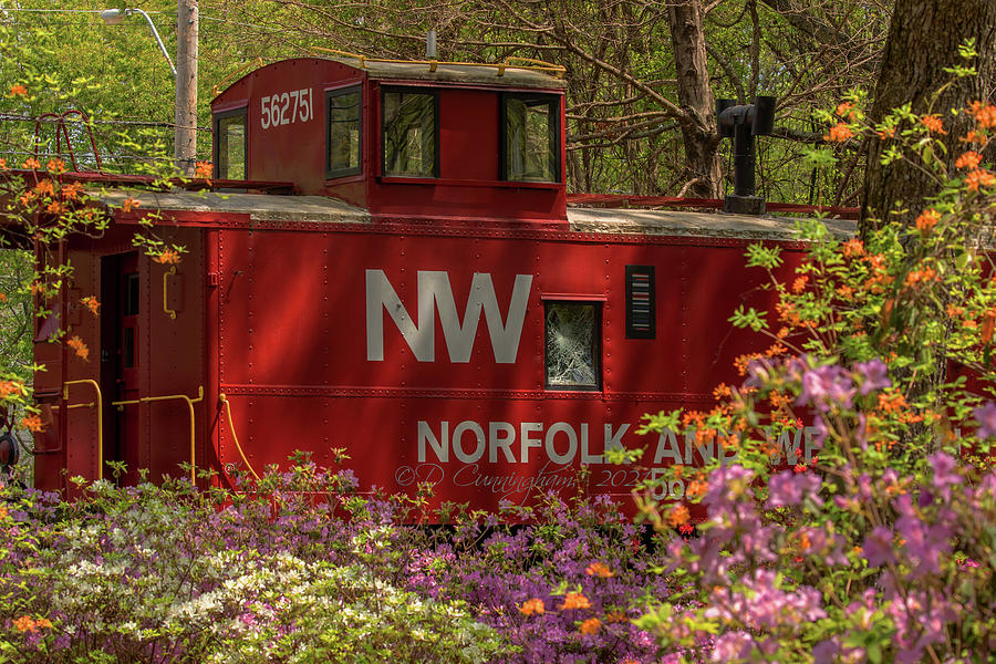 Old Caboose and Azaleas Photograph by Dorothy Cunningham
