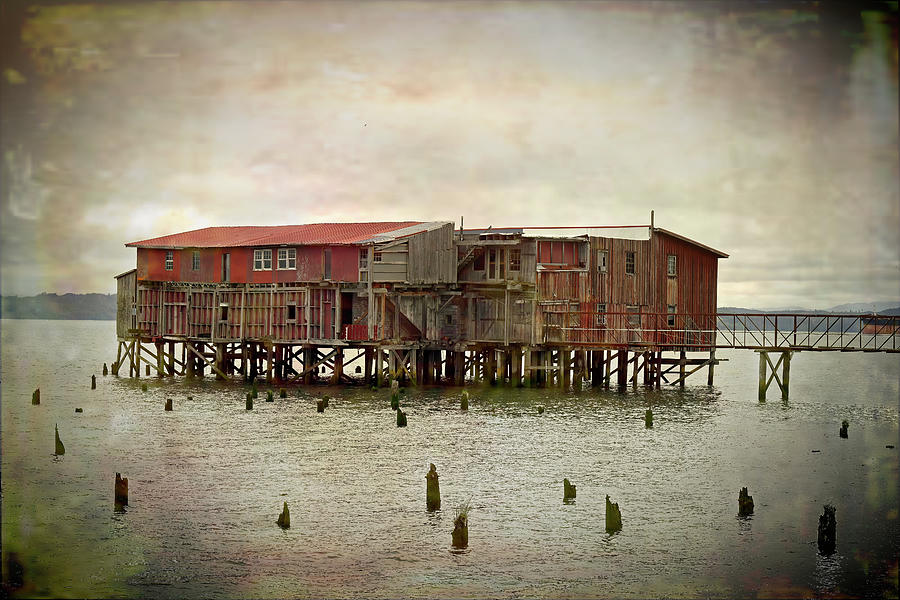 Old Cannery Photograph by Roberta Byram