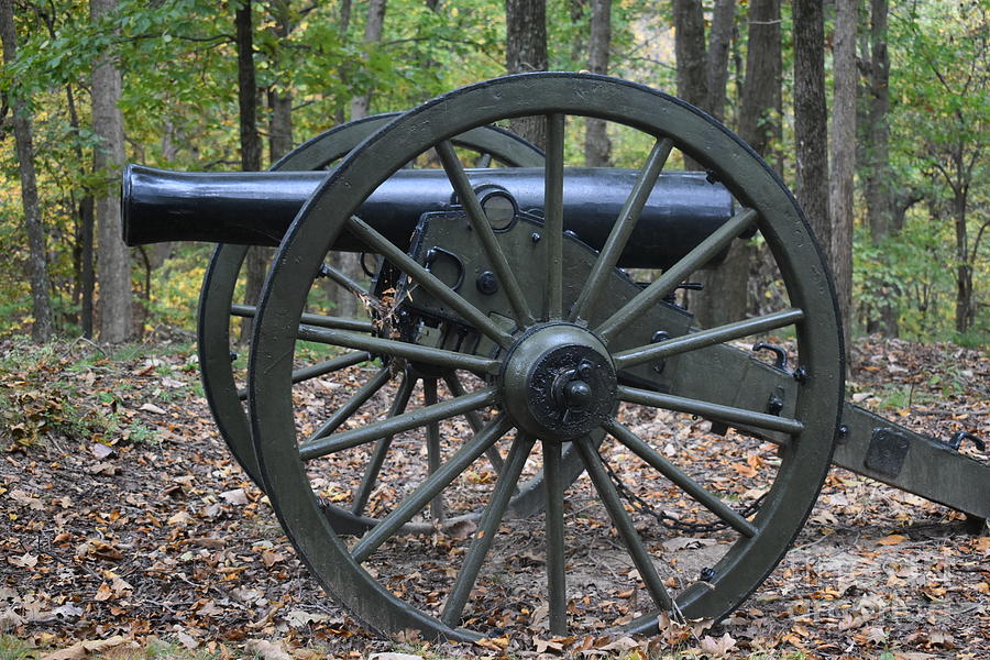 Old Cannon in the South Photograph by Tonya Hance | Fine Art America