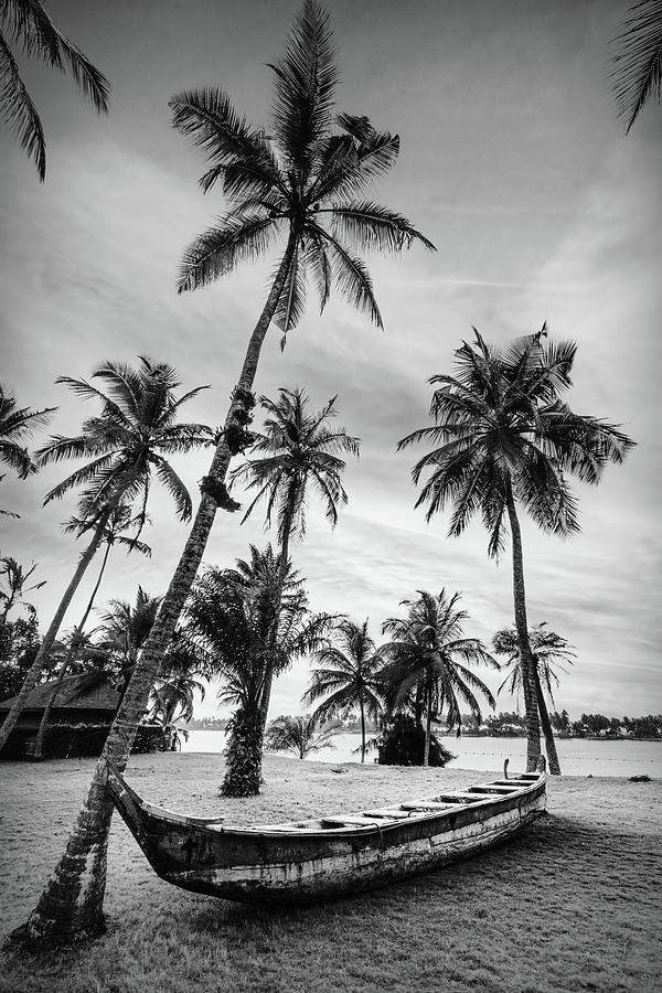 Old Canoe Under the Palms Black and White Photograph by Debra and Dave Vanderlaan