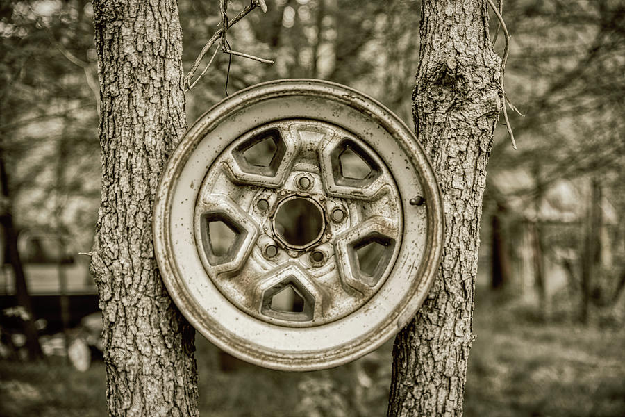 Old Car Rim Between Trees At Old Car City in White, Georgia Photograph by Peter Ciro