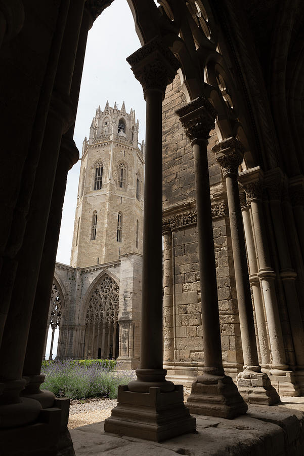 Old Cathedral of Lleida. Belltower from the interior Photograph by RicardMN Photography