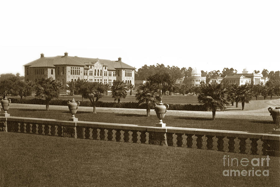 University Photograph - Old Chemistry building Stanford University as seen from the Quad by Monterey County Historical Society