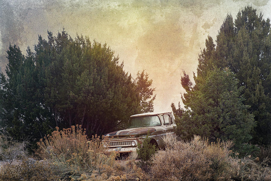 Old Chevy Truck in New Mexico Photograph by Mary Lee Dereske