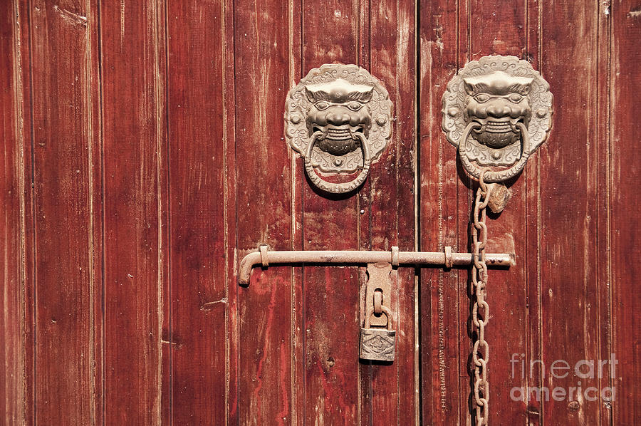 Lions knockers on a chinese door Photograph by Delphimages Photo Creations