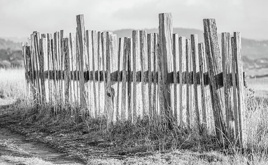Old Coastal Fence  Photograph by Mike Fusaro