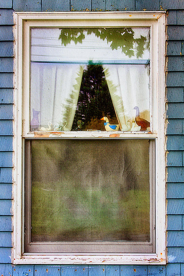 Old country window, Nova Scotia, Canada Photograph by Tatiana Travelways