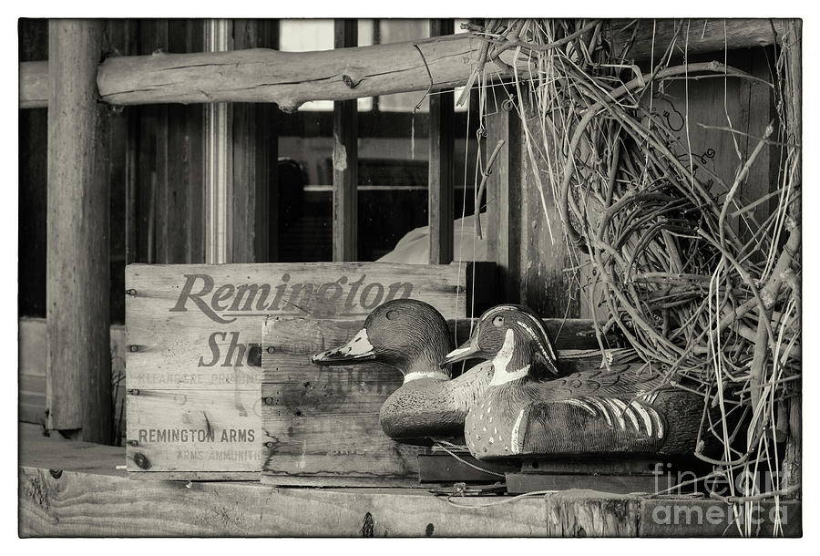 Old Decoys - D012839-bws Photograph by Daniel Dempster