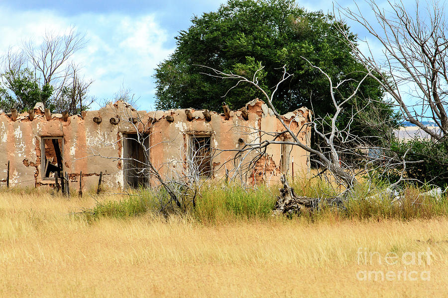 Old Dilapidated House New Mexico Photograph by Ben Graham